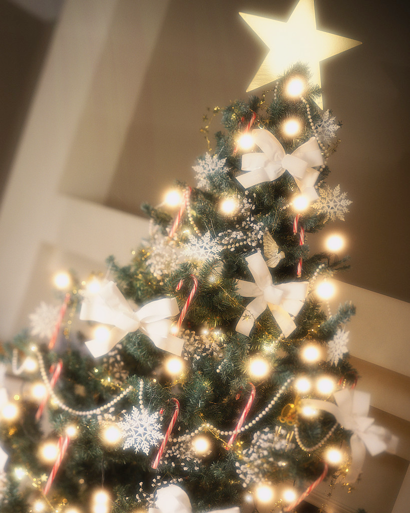 Christmas_Tree.png